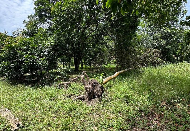 Below Market Bungalow Lot Kampung Sungai Serai Rawang