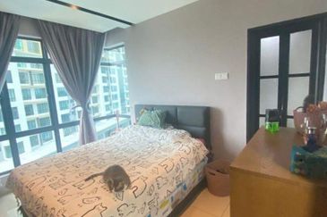 The Arc At Austin Hill