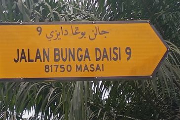 Flat Bunga Daisi