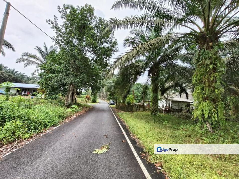 Kota tinggi , Johor, Johor Bahru