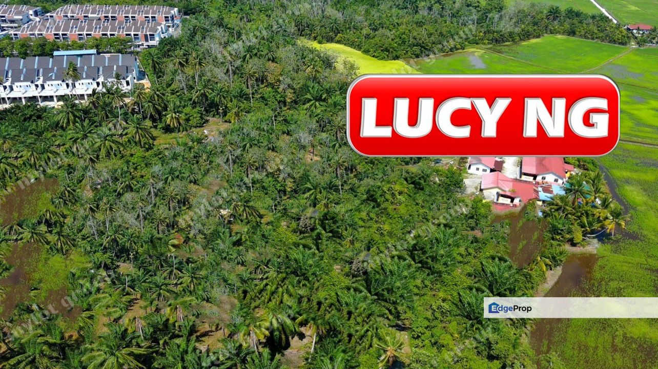 6.06 acres | Residential Land | Bukit Minyak | Simpang Ampat | Penang t, Penang, Bukit Minyak