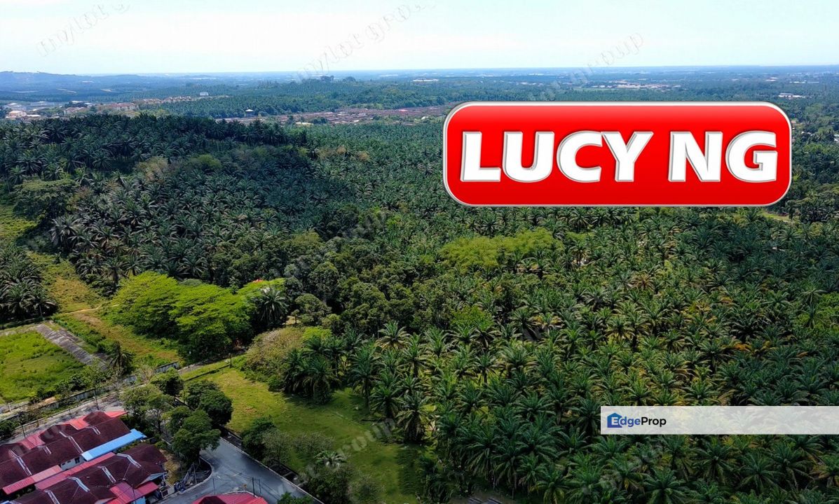 10.386 acres | Agricultural Land | Sungai Jawi | Penang t, Penang, Sungai Bakap 