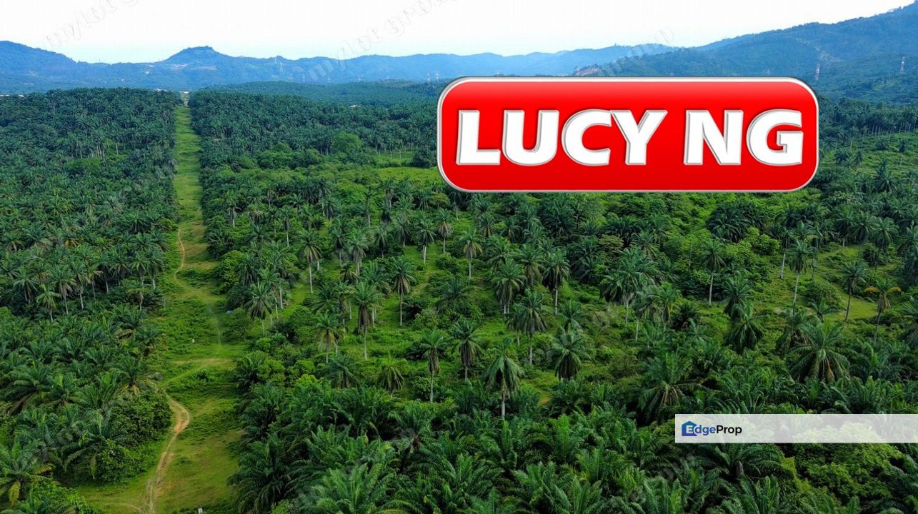 48.917 acres | Agricultural Land | Sungai Jawi  | Penang  t, Penang, Sungai Bakap 