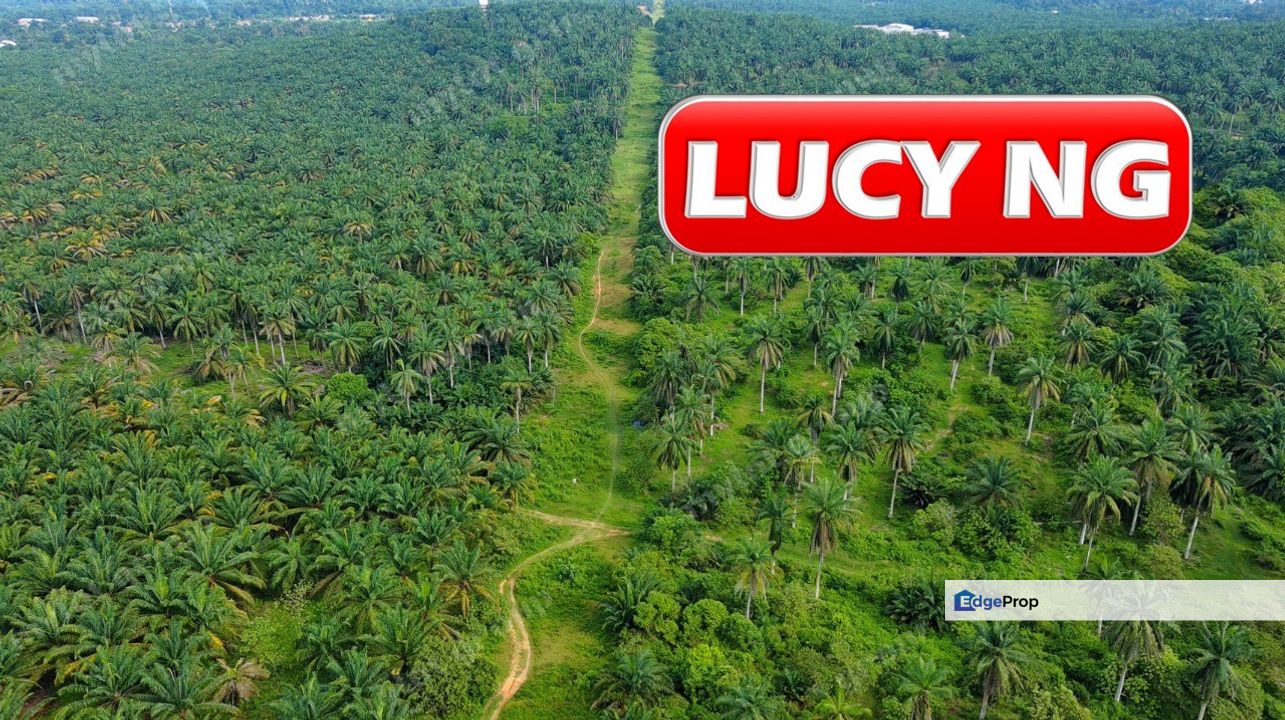 48.917 acres | Agricultural Land | Sungai Jawi  | Penang  t, Penang, Sungai Bakap 