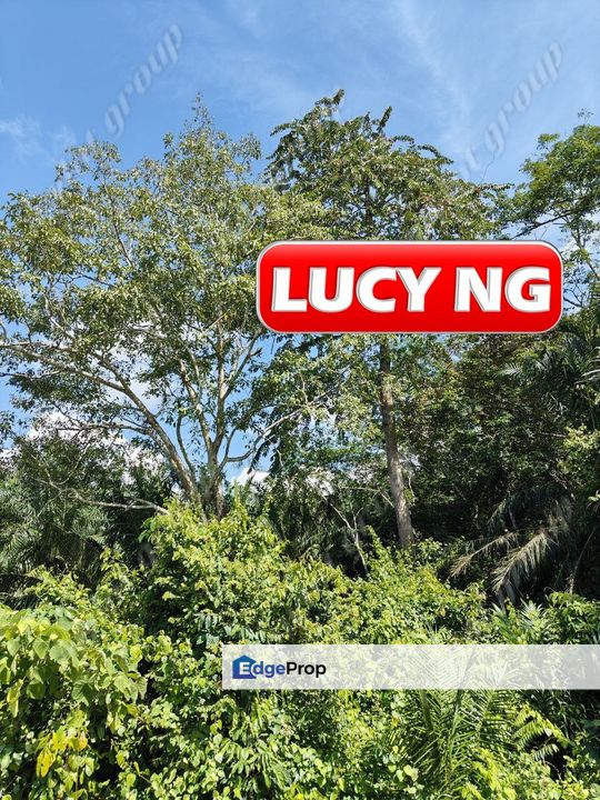 6.85 acres | Agricultural Land | Lenggong | Perak  k, Perak, Hulu Perak