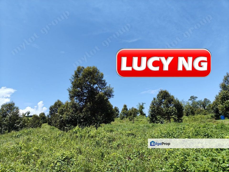 9.9 acres | Durian Farm | Agricultural Land | Lenggong | Perak k, Perak, Hulu Perak