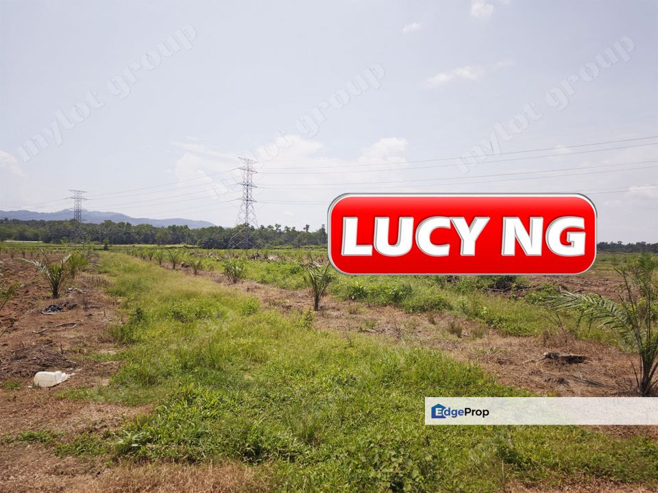 98.95 acres | Residential Land + Agricultural Land Bedong | Kuala Muda | Kedah RM8 psf t, Kedah, Kuala Muda