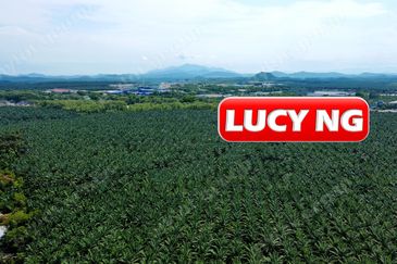 Gurun Industrial Area