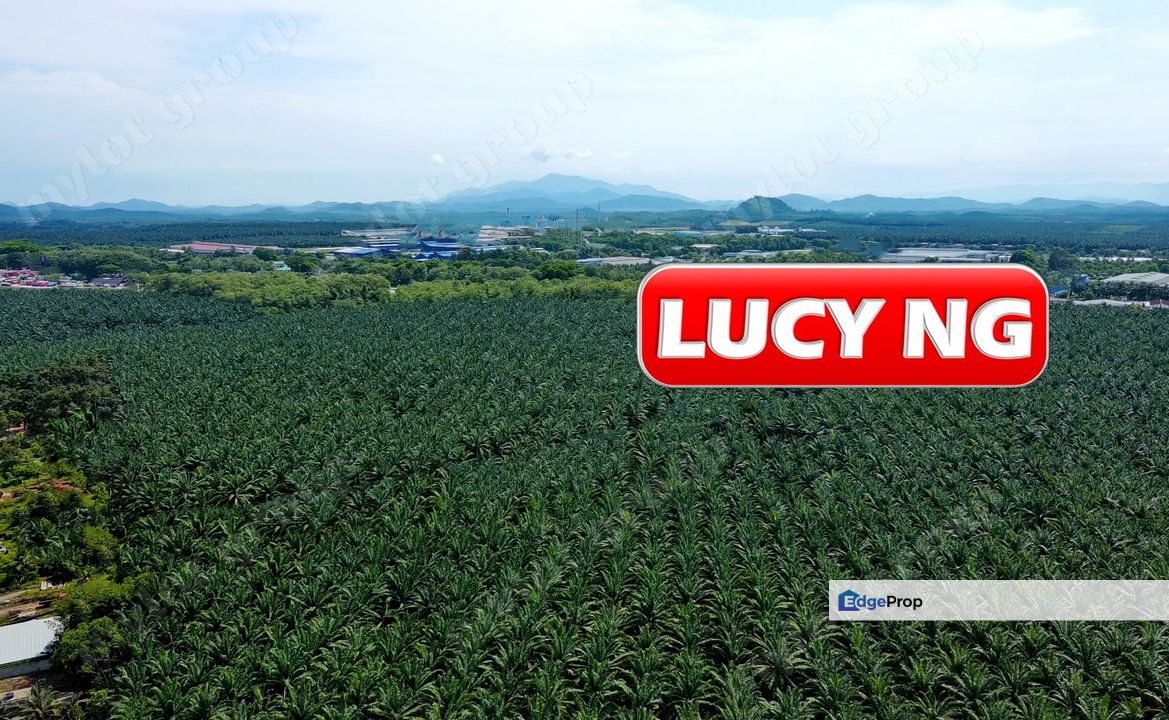 192 acres | Industrial Land | Kuala Muda | Gurun | Kedah | RM12 psf  t, Kedah, Gurun