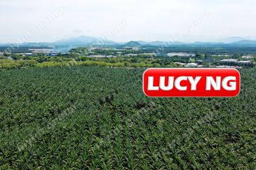 Gurun Industrial Area