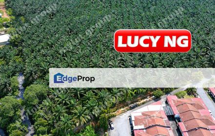 192 acres | Industrial Land | Kuala Muda | Gurun | Kedah | RM12 psf  t, Kedah, Gurun