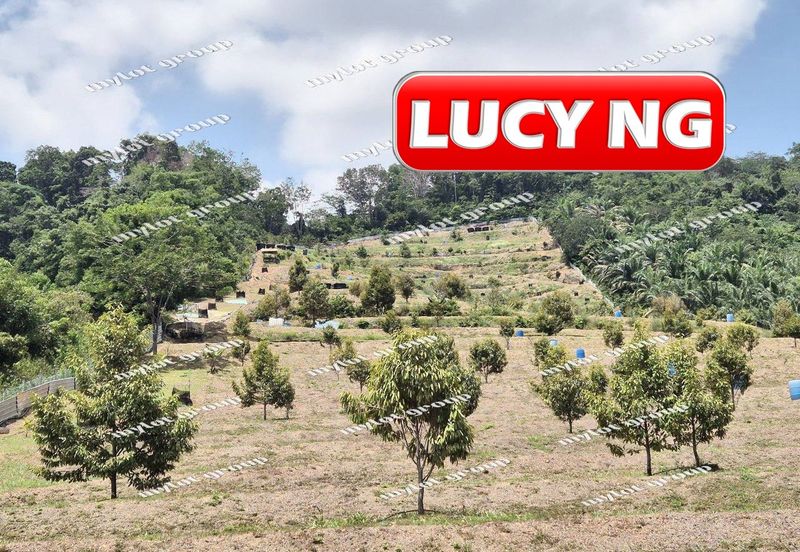 Bandar Sungai Petani