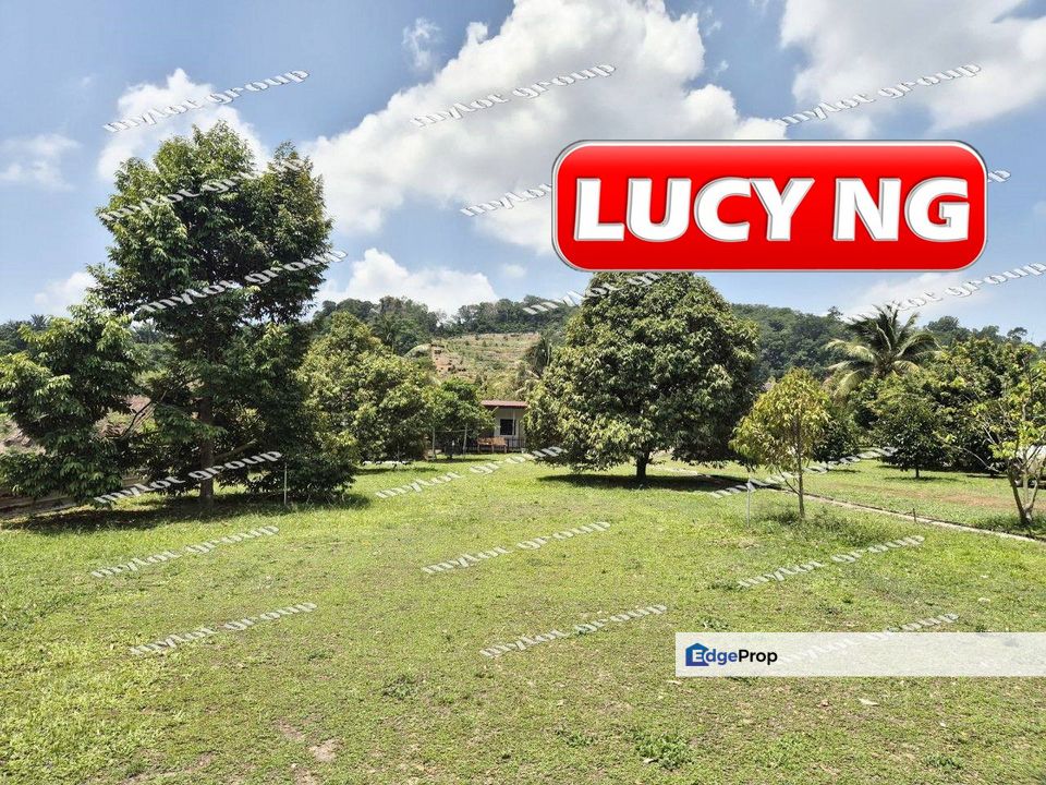 9.406 acres | Durian Farm with Homestay | Leisure Land | Agricultural Land | Tikam Batu  | Kedah ️ a, Kedah, Sungai Petani
