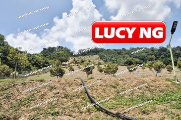 Bandar Sungai Petani