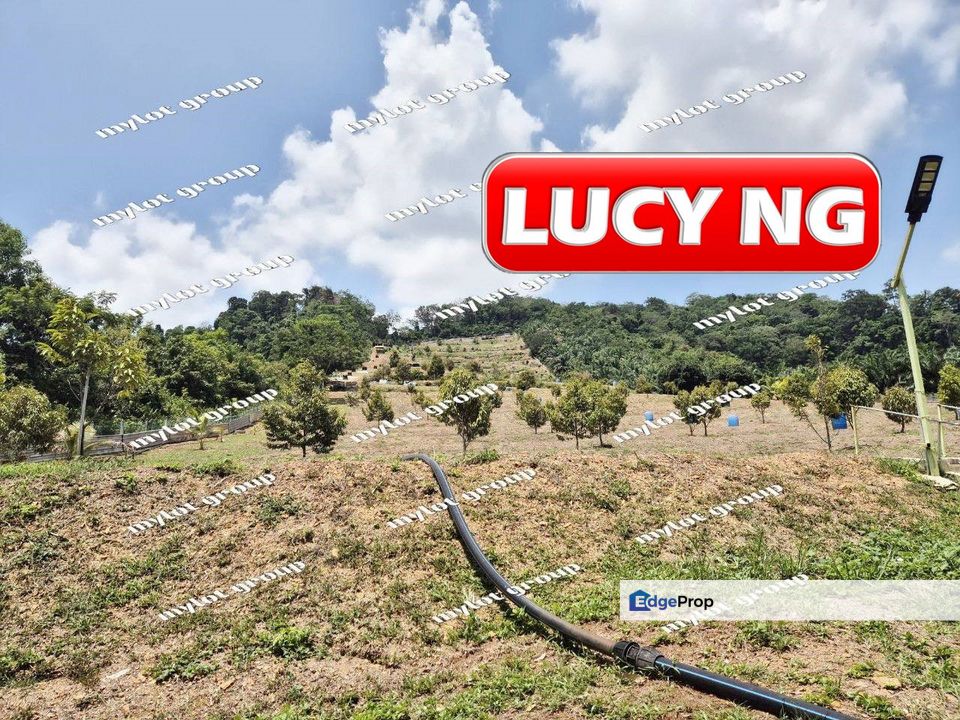 9.406 acres | Durian Farm with Homestay | Leisure Land | Agricultural Land | Tikam Batu  | Kedah ️ a, Kedah, Sungai Petani