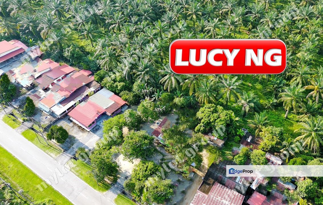 11.375 acres | First Grade | Agricultural Land | Nibong Tebal | Penang  t, Penang, Nibong Tebal