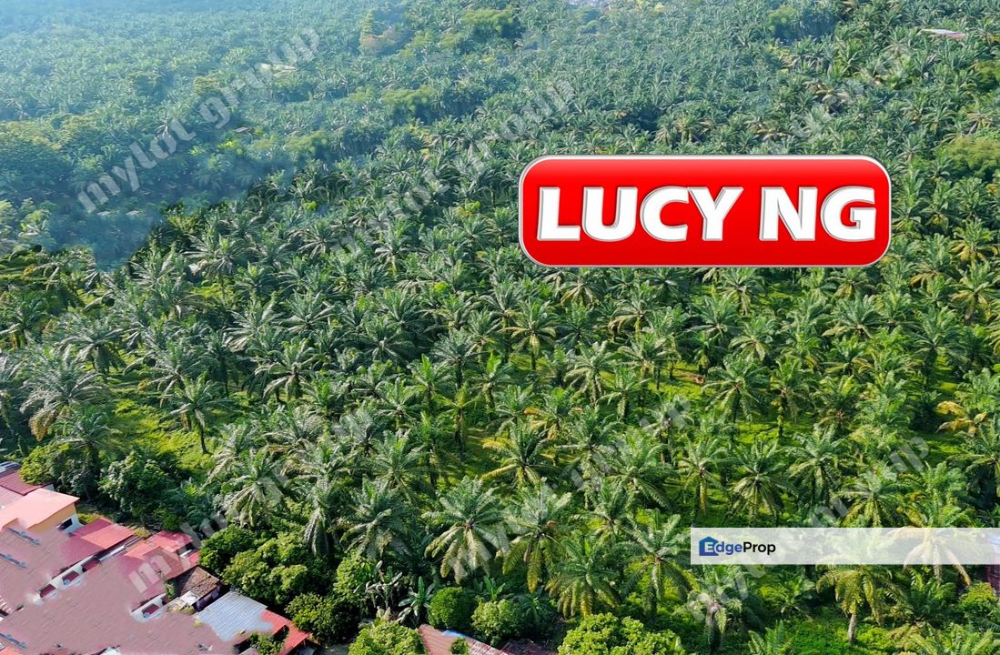 11.375 acres | First Grade | Agricultural Land | Nibong Tebal | Penang  t, Penang, Nibong Tebal