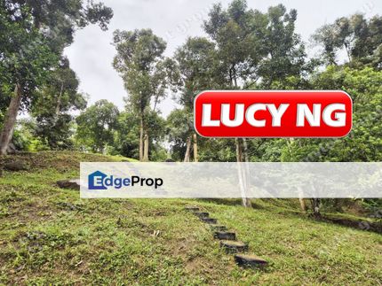 6.353 acres | Agricultural Land | Old Tree Durian Farm | Leisure Land | Sungai Lembu | Bukit Mertajam| Penang b, Penang, Bukit Mertajam