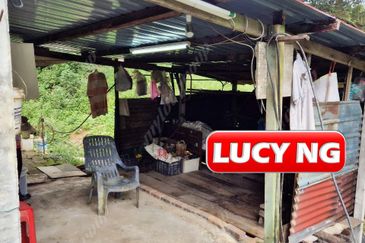 Agriculture Land @ Taiping