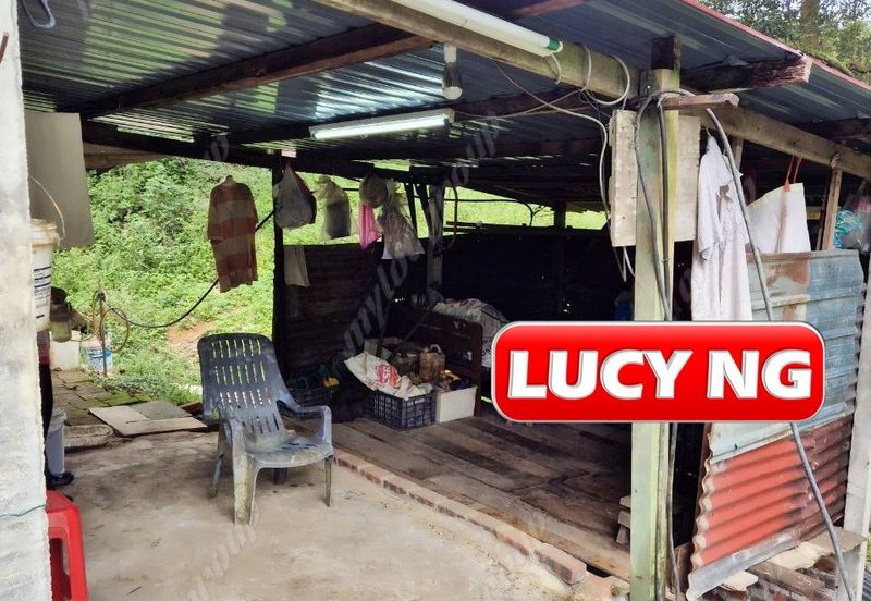 Agriculture Land @ Taiping