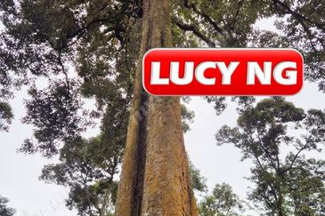 Agriculture Land @ Taiping