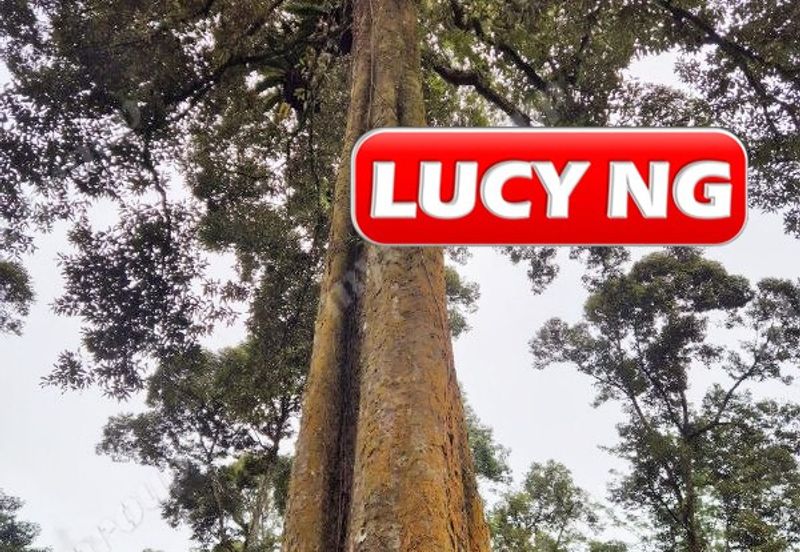 Agriculture Land @ Taiping