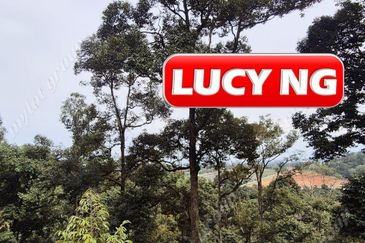 Agriculture Land @ Taiping