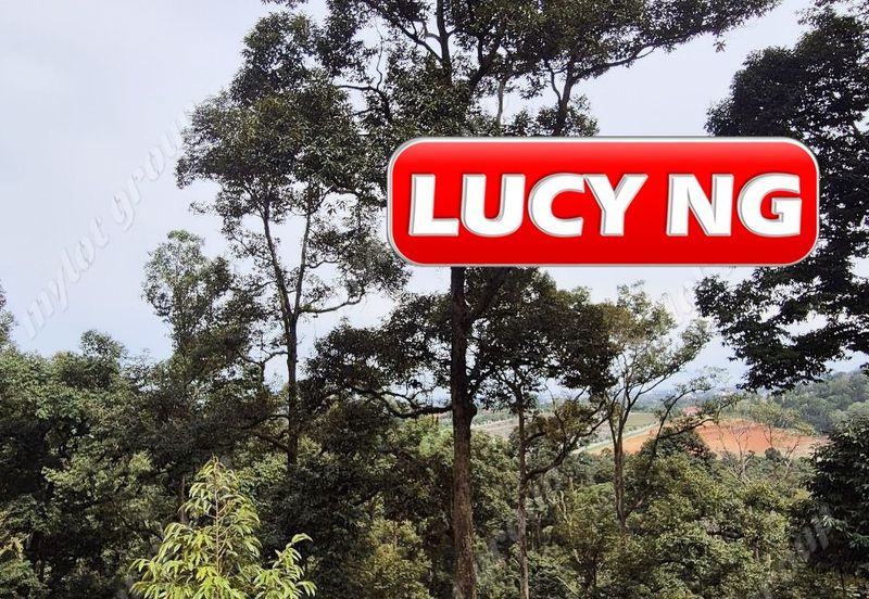 Agriculture Land @ Taiping