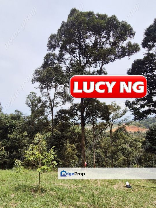 9.18 acre | Old Durian Farm | Taiping | Perak b, Perak, Taiping