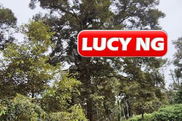 Agriculture Land @ Taiping