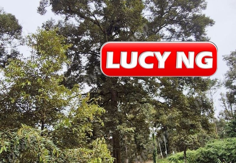 Agriculture Land @ Taiping