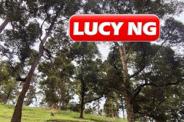 Agriculture Land @ Taiping