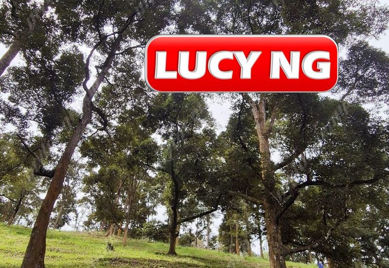 Agriculture Land @ Taiping