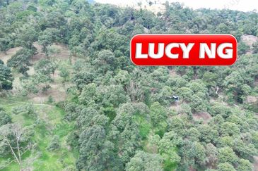 Agriculture Land @ Taiping