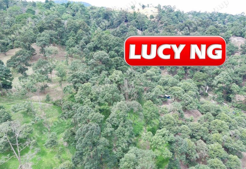 Agriculture Land @ Taiping