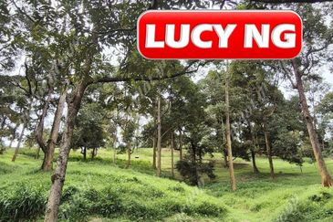 Agriculture Land @ Taiping