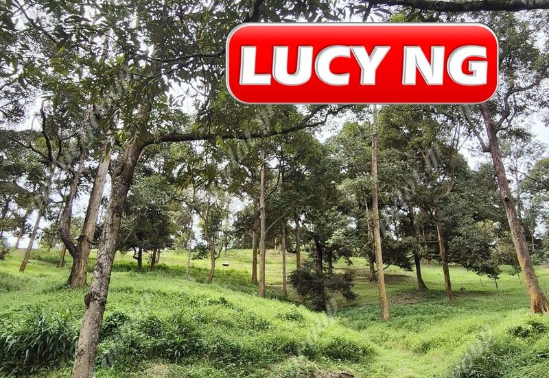 Agriculture Land @ Taiping