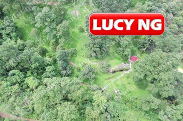 Agriculture Land @ Taiping