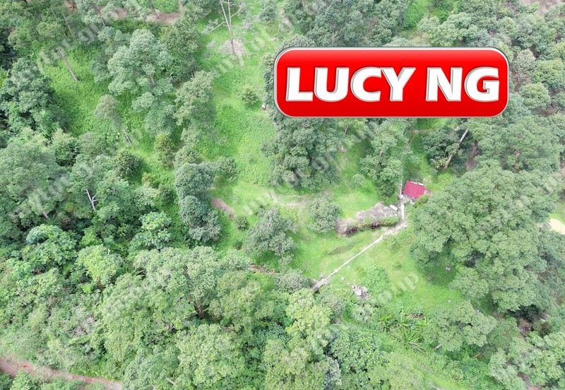 Agriculture Land @ Taiping