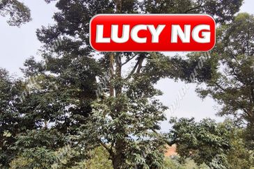 Agriculture Land @ Taiping