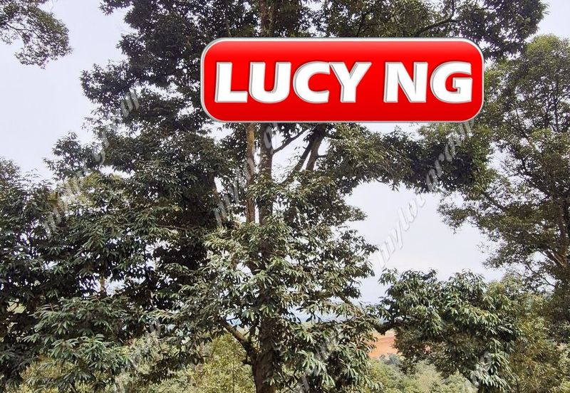 Agriculture Land @ Taiping