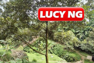 Agriculture Land @ Taiping