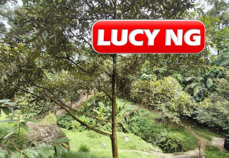 Agriculture Land @ Taiping