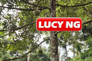 Agriculture Land @ Taiping