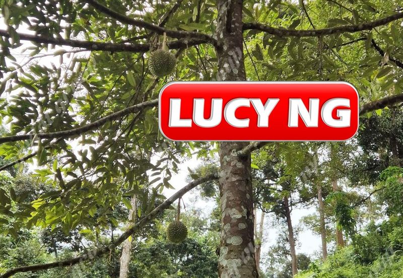 Agriculture Land @ Taiping