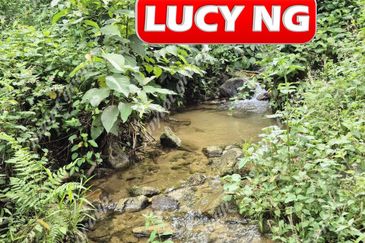 Agriculture Land @ Taiping