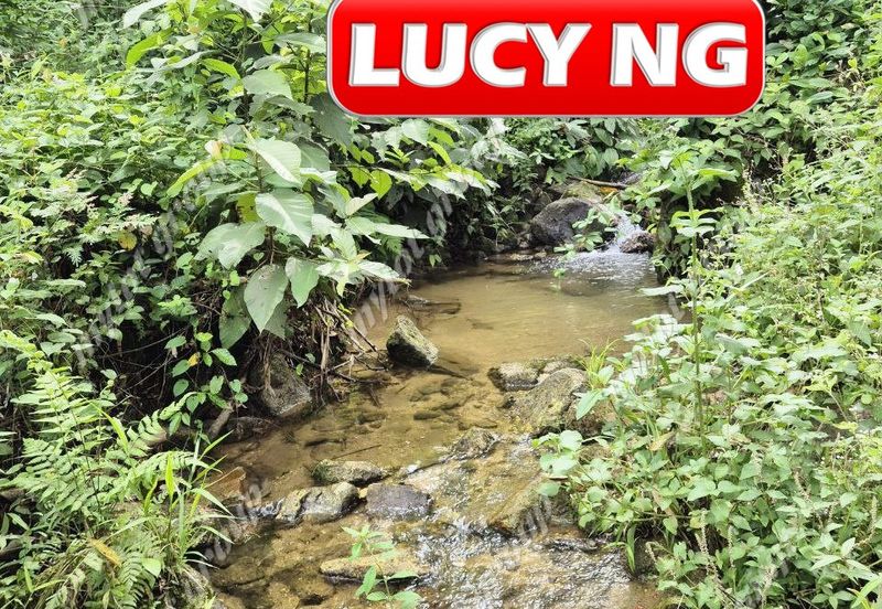 Agriculture Land @ Taiping