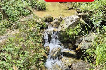 Agriculture Land @ Taiping