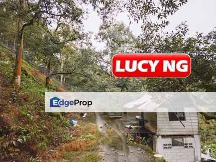 12.61 acres | Durian Farm | Mengkuang | Bukit Mertajam | Penang t, Penang, Bukit Mertajam