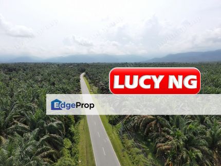 9.874 acres | Palm Oil Plantation | Beside Main Road | Selama | Perak , Perak, Selama